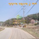 내대리 농장 네이버블로그