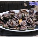 완도전복 이미지