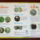 푸르메가살고있는곳 이미지