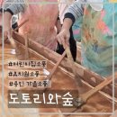 숲속이레어린이집 | 경기도 용인 도토리와 숲 체험장 후기::어린이 견학 장소 추천