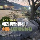 청하펜션 주말농원 | 하동 가성비 숙소 찾는다면 여기! 뷰까지 완벽한 하동애견동반펜션 내돈내산 후기