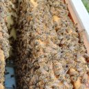 가리골농장 이미지