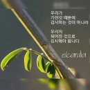 39일 레위기 18-20장 밭모퉁이 법 23.10.16성도덕1 ~ 거룩하라 ~ 성도덕2하나님께서는 본받지 말아야 할 이방 풍속에 이미지