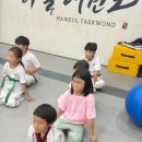 안성 우리아이 태권도장 이미지