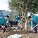 보람동_세종교육청 이미지