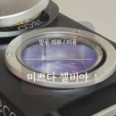 미쁘다셀비아
