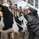 충남농장 이미지