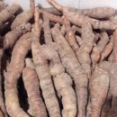 하수농장 이미지