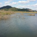 입큰붕어낚시카페 이미지