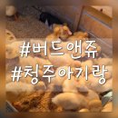 버드앤쥬샵 | 청주 버드앤쥬 방문후기. (아기랑 가볼만한 곳) 추천추천