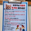 양이멍이 이미지