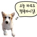 예가건축인테리어 이미지