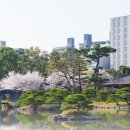 케이엔 케이