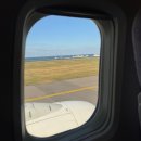 고하상로21스테이 | 제주 서쪽 여행기록 1일차 [다정이네김밥/픽업카페/상가리야자숲/새별오름/리버브제주/감성돈/협재...