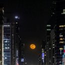 마치빌딩 이미지