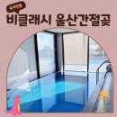 돌아기랑 여행 갈만한곳 비클래시 울산간절곶점