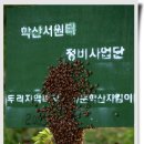 학산서원터 이미지