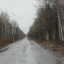 화강주유소 이미지