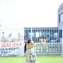 푸른틈 풀펜션 이미지