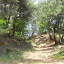 하사마을 이미지