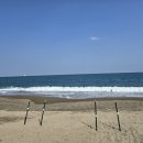 해변 낚시 마트 | 포항 캠핑 낚시 신창 해수욕장 캠낚 후기 바람 강한 날에도 가능한 이유