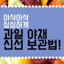 싱싱채소과일