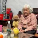 &#34;사랑하면 닮아간다더니...&#34; 할아버지한테 할머니 안부 물었다가 받은 사진 이미지