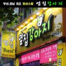 양정수지 이미지