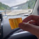 주식회사 웰통 이미지