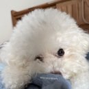 야지농장 이미지