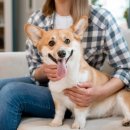 좋은말동물병원 이미지