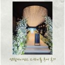 스카이투어 | W1. 센텀 사이언스 스카이홀 홀 투어 솔직 후기｜프리미엄 더파티 피로연 계약까지 완료