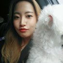 세븐일레븐 중계에이스점 | 바우와우