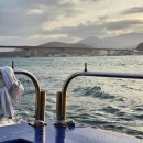 장평신촌1길 | [통영여행] 통영 낚시체험 카사호 후기, 잡은 물고기로 삼호식당에서 매운탕 끓여먹기 추천 🐟