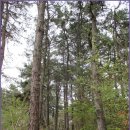 은진면사무소 이미지