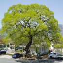 용방면사무소 이미지