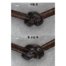 대한견적연구소 이미지