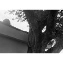 수산리-7 이미지