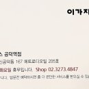 빈헤어비스
