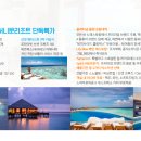 허니문리조트주 이미지