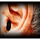 연세보청기 이미지