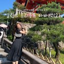 4 계절 | 셀린느 트리옹프 아바백 4계절 착용 후기, 이너백/착샷 부담없는 명품 입문백