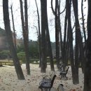 강릉고 입구(버스정류장) 이미지