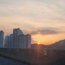 신경춘로 이미지