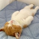 피트인 휘트니스 이미지