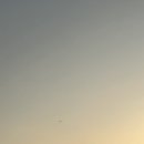 WONDER LAND 이미지