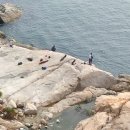 경남여객 둥지노동조합 | 거제 섬 이수도 출렁다리 둘레길,1박3식이 가능한 둥지민박