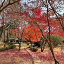 미.서울치과 이미지