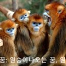 비서재준