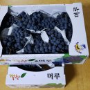 대경농장2 이미지